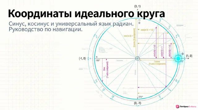 Обложка презентации к уроку «Синус, косинус, тангенс и котангенс числового аргумента»