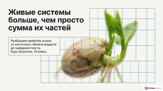 Обложка презентации к уроку «Живые системы и их свойства»