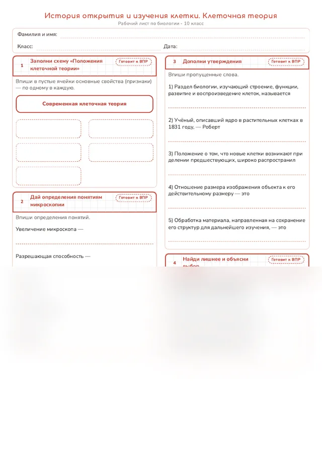 Начало рабочего листа
