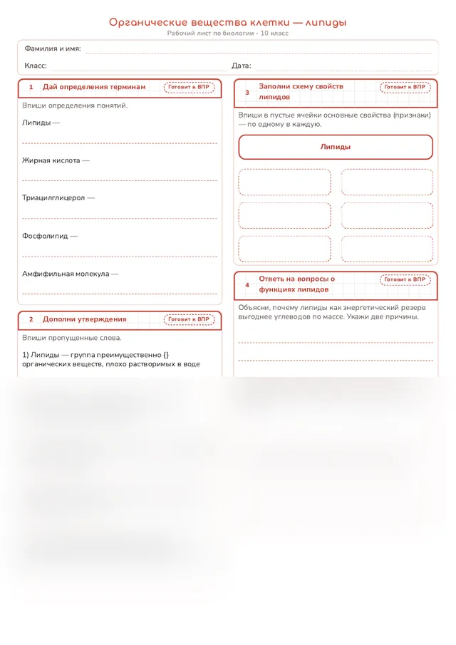 Начало рабочего листа