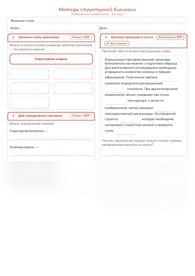 Начало рабочего листа