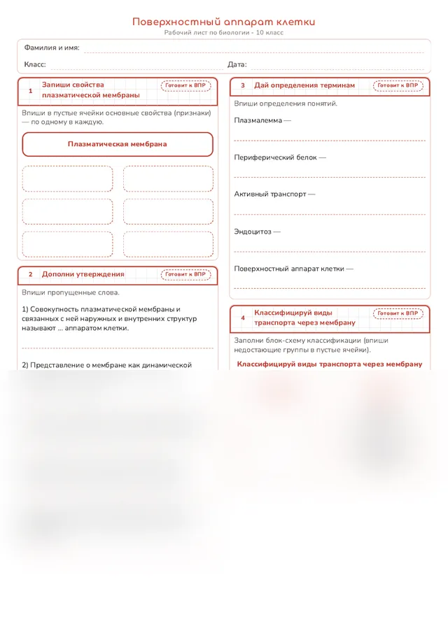Начало рабочего листа