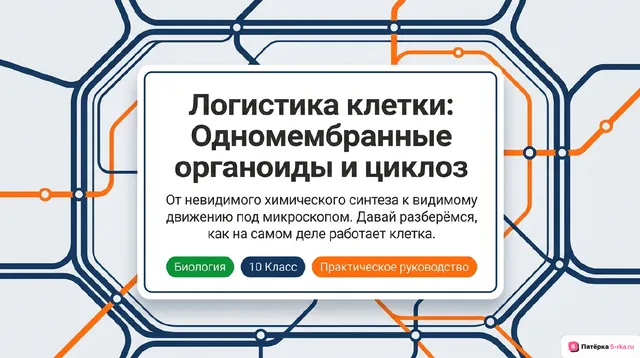 Обложка презентации к уроку «Одномембранные органоиды клетки»