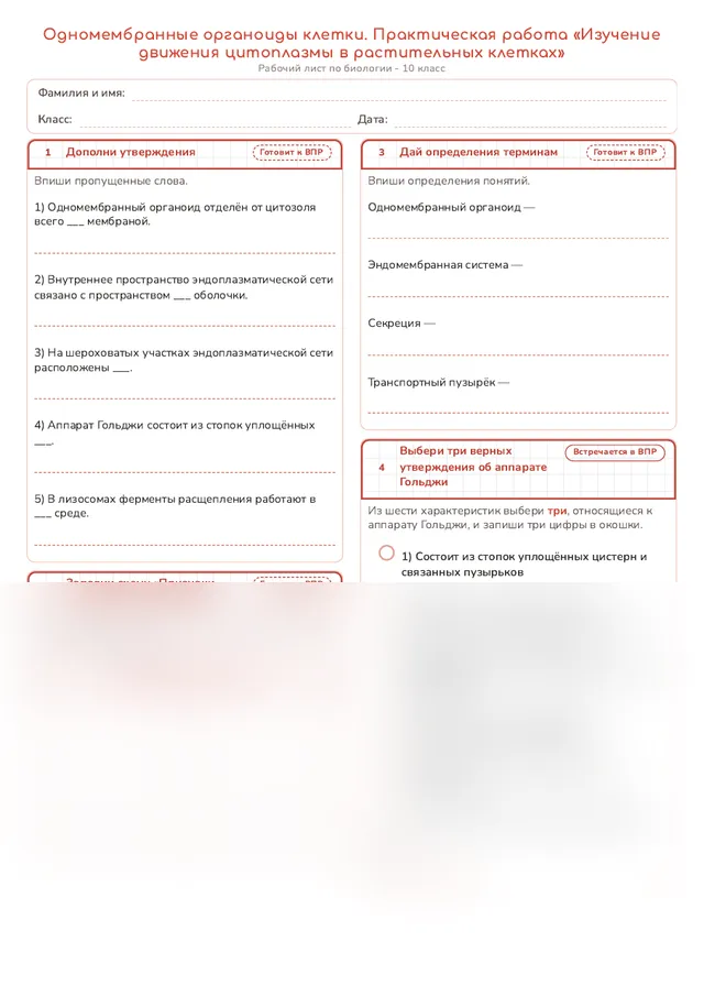 Начало рабочего листа