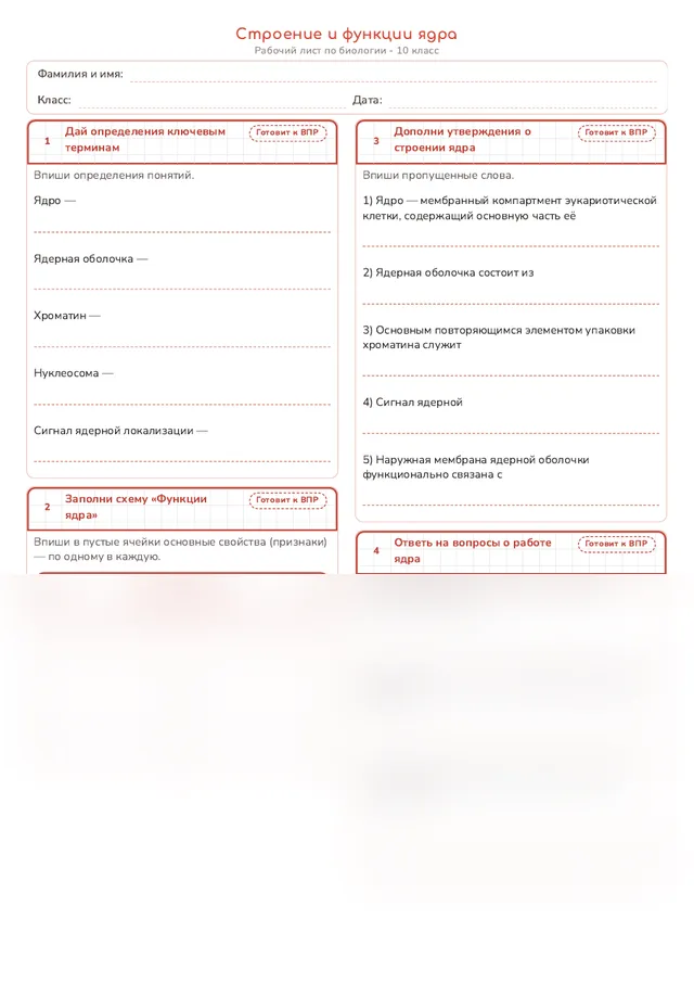 Начало рабочего листа