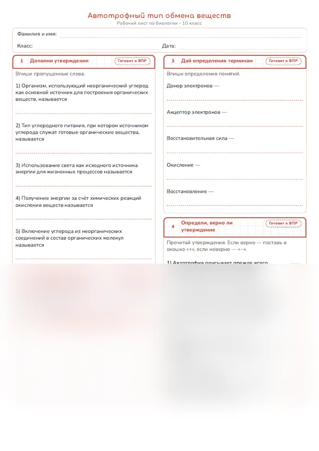 Начало рабочего листа