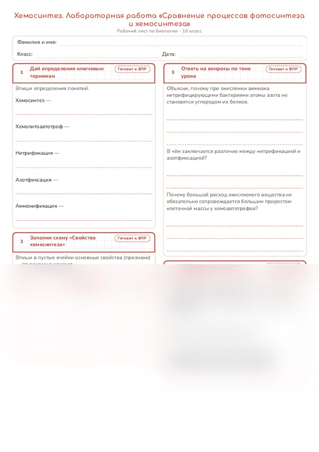 Начало рабочего листа