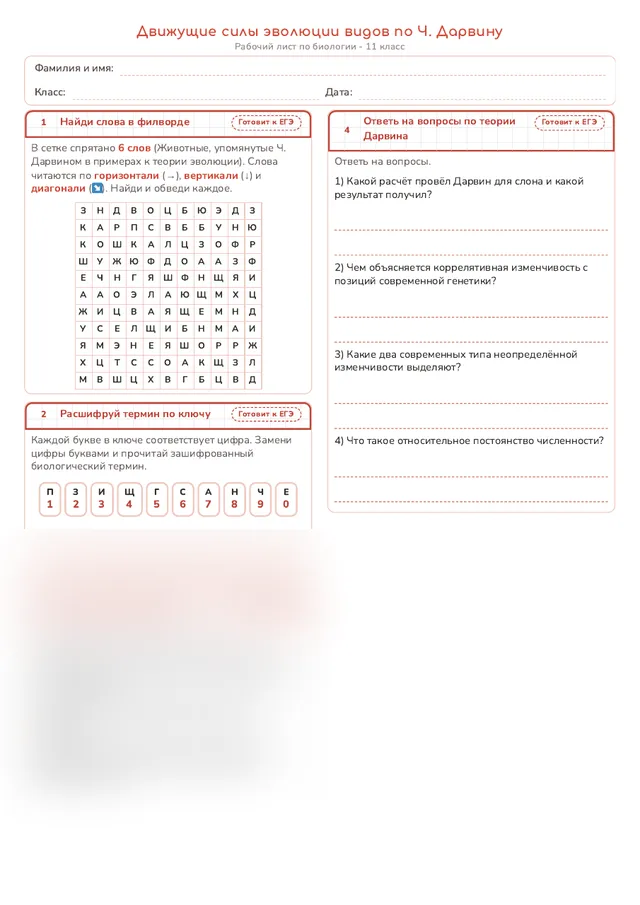 Начало рабочего листа
