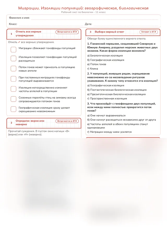 Начало рабочего листа