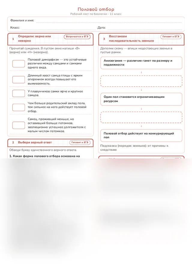 Начало рабочего листа