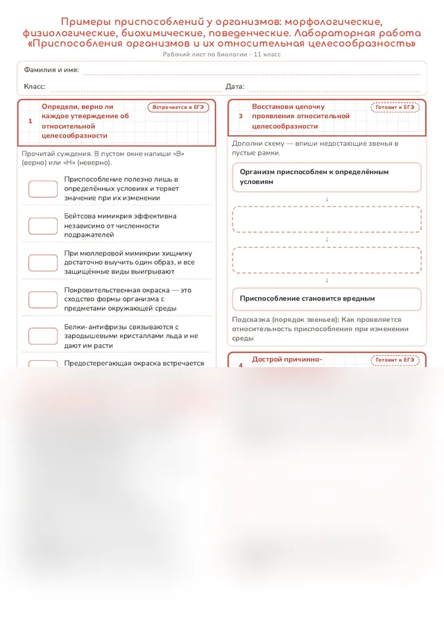 Начало рабочего листа