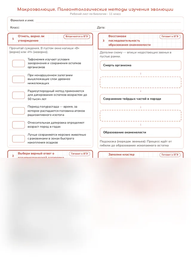 Начало рабочего листа