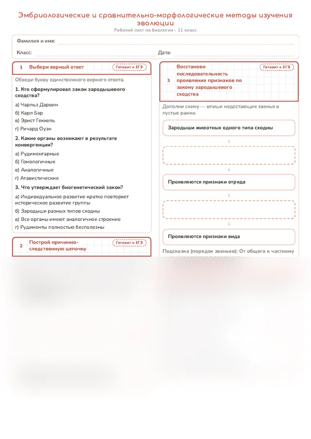 Начало рабочего листа