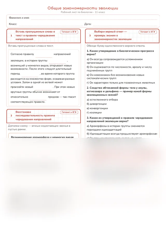 Начало рабочего листа