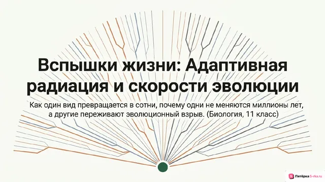 Обложка презентации к уроку «Адаптивная радиация»