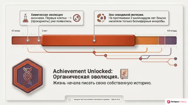 Слайд 2