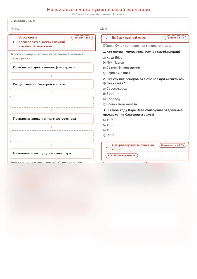 Начало рабочего листа