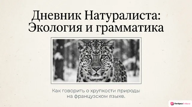Обложка презентации к уроку «Проблемы экологии»