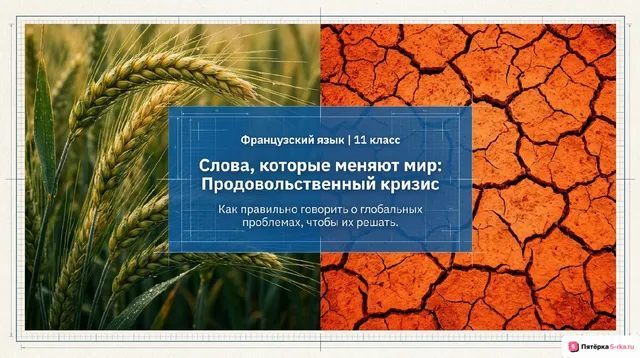 Обложка презентации к уроку «Проблемы современной цивилизации (мировая продовольственная проблема)»