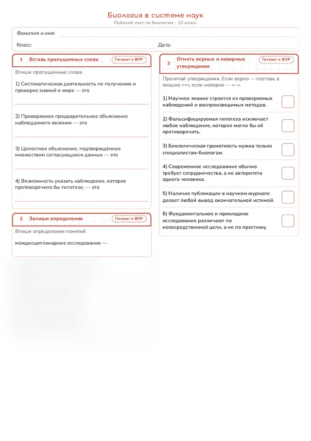 Начало рабочего листа