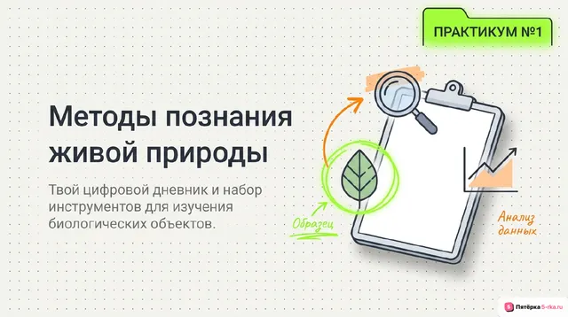 Обложка презентации к уроку «Методы познания живой природы»