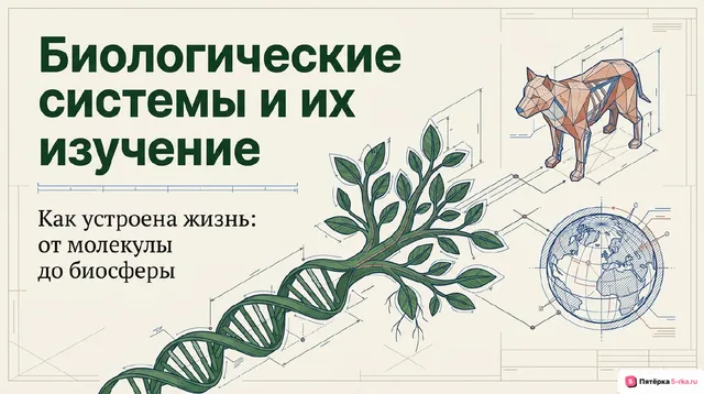 Обложка презентации к уроку «Биологические системы, процессы и их изучение»