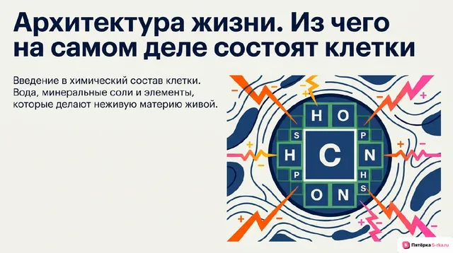 Обложка презентации к уроку «Химический состав клетки»