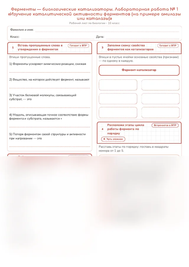 Начало рабочего листа