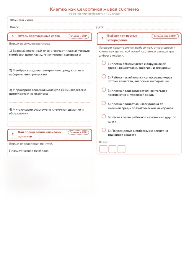 Начало рабочего листа