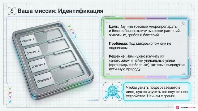 Слайд 2