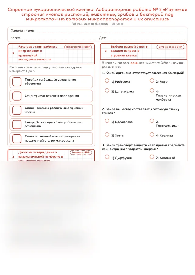 Начало рабочего листа
