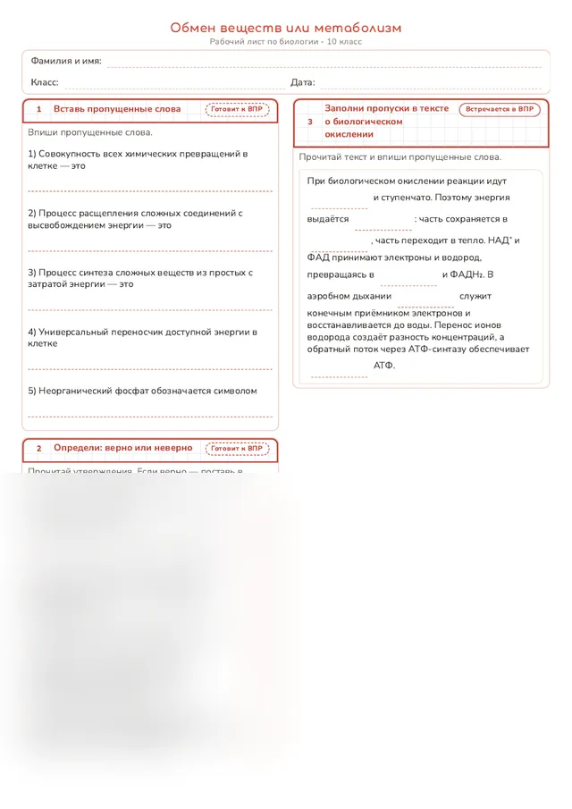 Начало рабочего листа