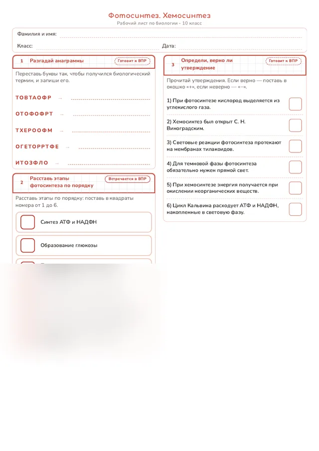 Начало рабочего листа