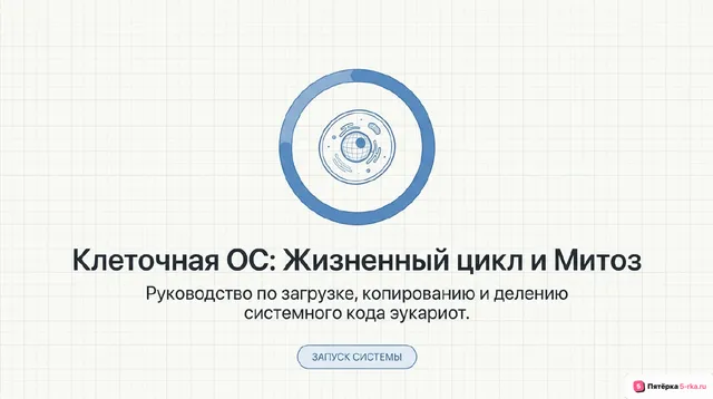 Обложка презентации к уроку «Жизненный цикл клетки»
