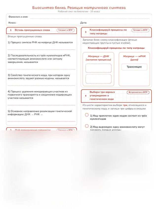 Начало рабочего листа
