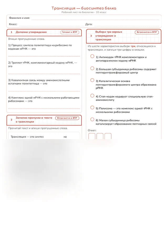 Начало рабочего листа