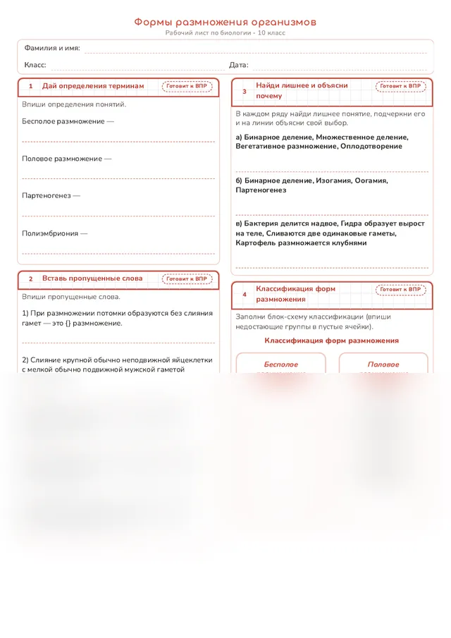 Начало рабочего листа