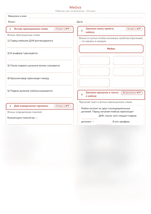 Начало рабочего листа