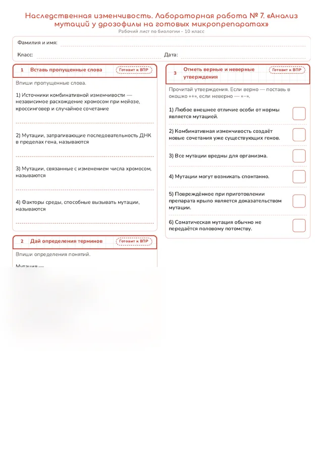 Начало рабочего листа