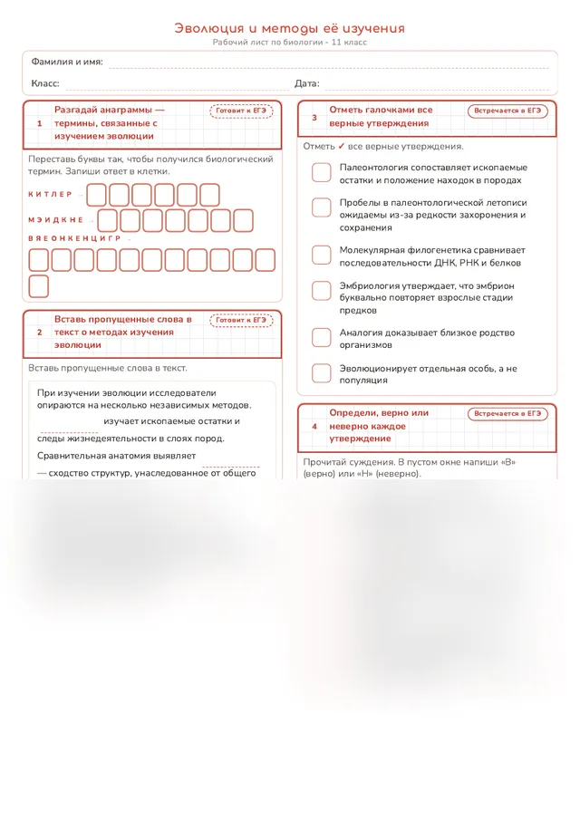 Начало рабочего листа