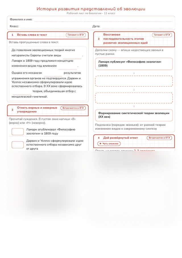 Начало рабочего листа