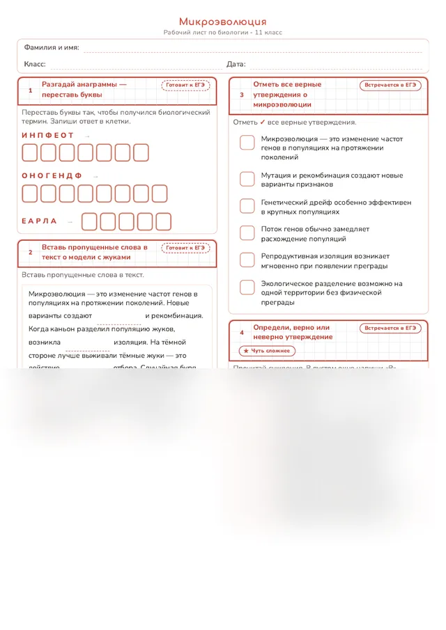 Начало рабочего листа