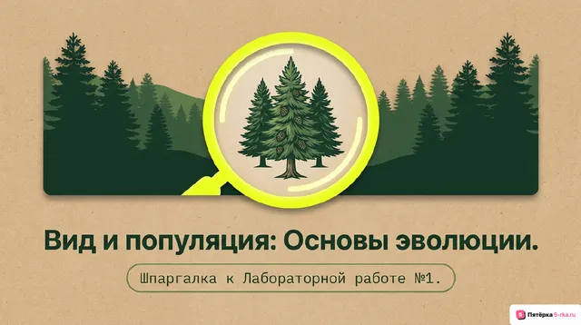 Обложка презентации к уроку «Популяция как элементарная единица вида и эволюции»