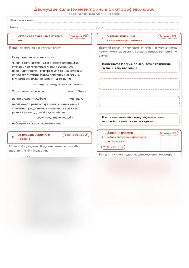 Начало рабочего листа