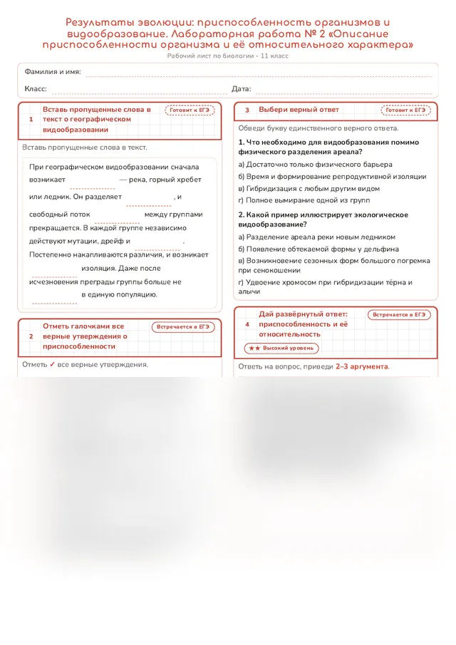 Начало рабочего листа