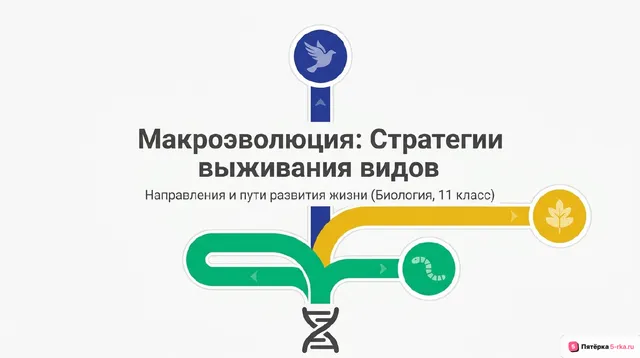 Обложка презентации к уроку «Направления и пути макроэволюции»