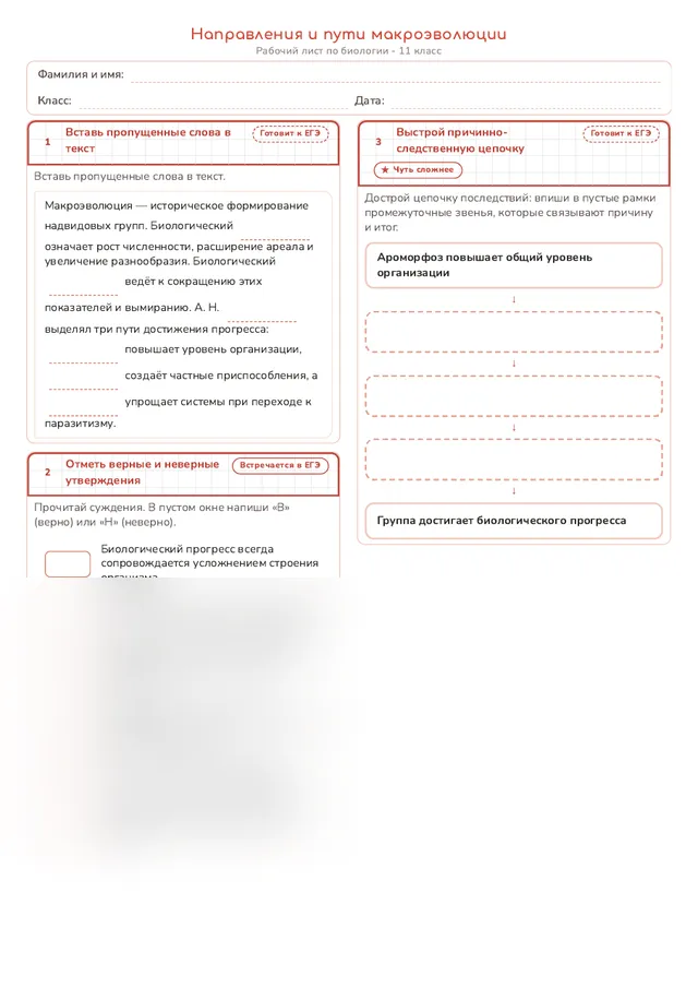 Начало рабочего листа