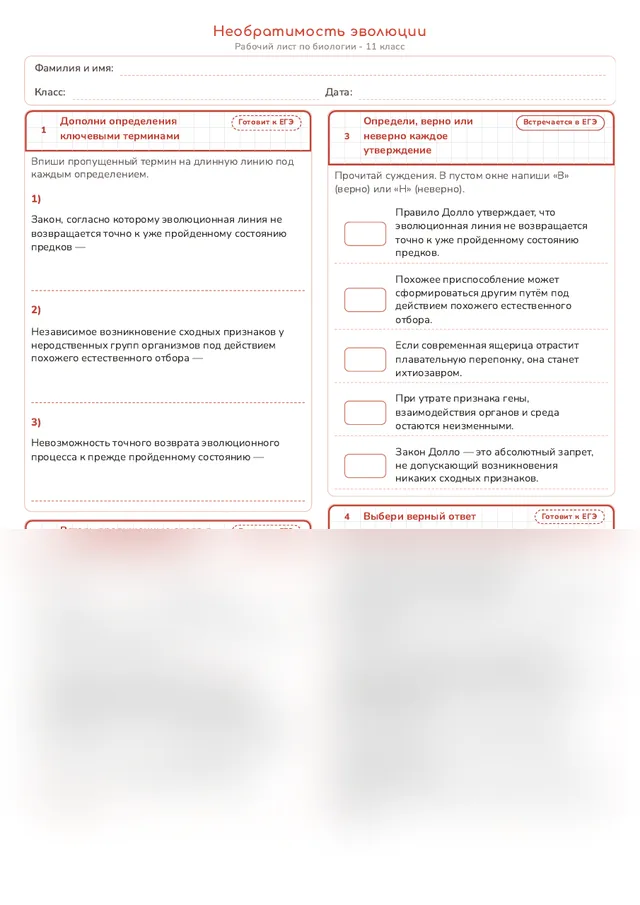 Начало рабочего листа