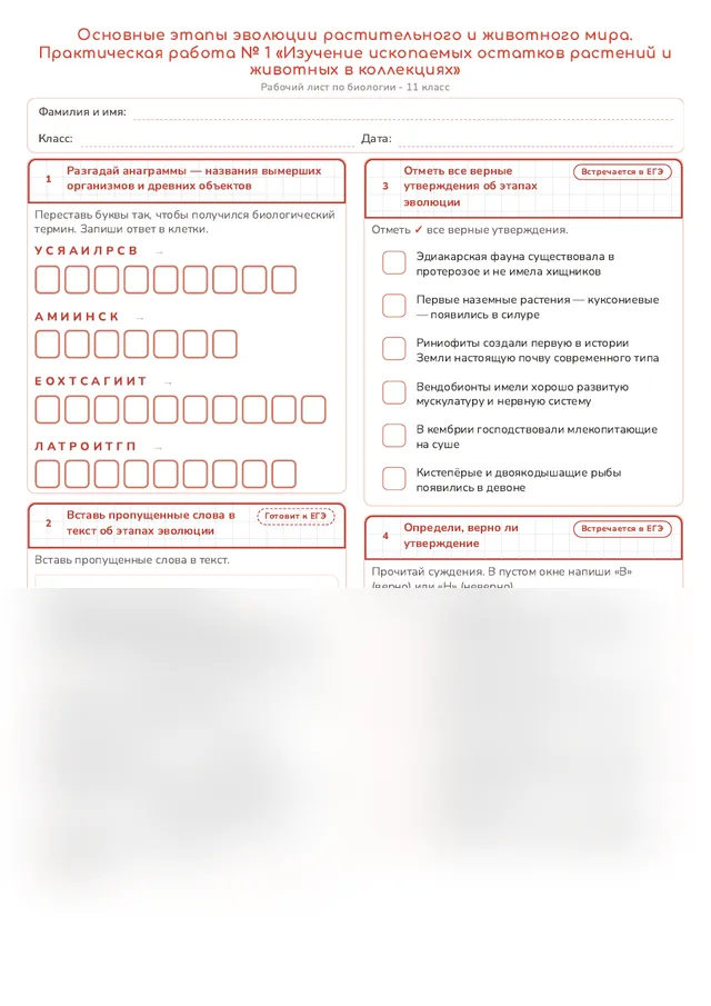 Начало рабочего листа