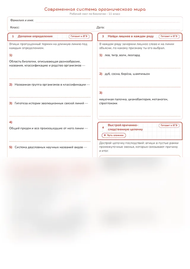 Начало рабочего листа
